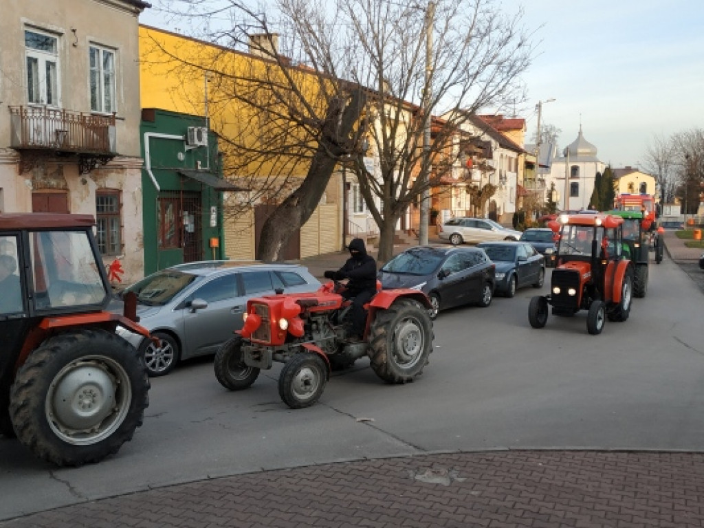 Alpaki, ciągniki i licytacje, czyli WOŚP w Koprzywnicy [GALERIA]