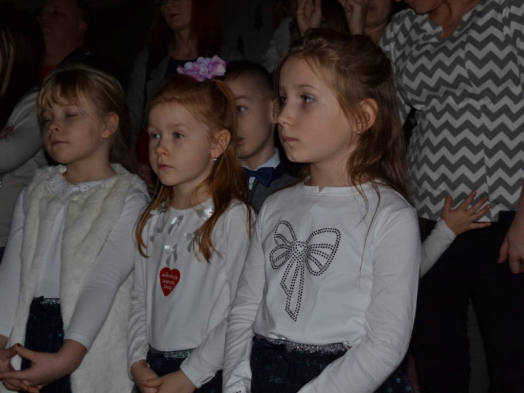 Tłumy na finałowym koncercie WOŚP w Połańcu (zdjęcia)