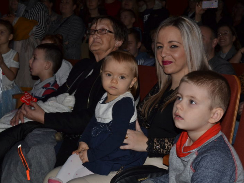 Tłumy na finałowym koncercie WOŚP w Połańcu (zdjęcia)
