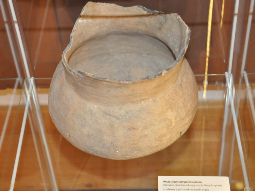 Muzeum pokazało nowe eksponaty [zdjęcia]