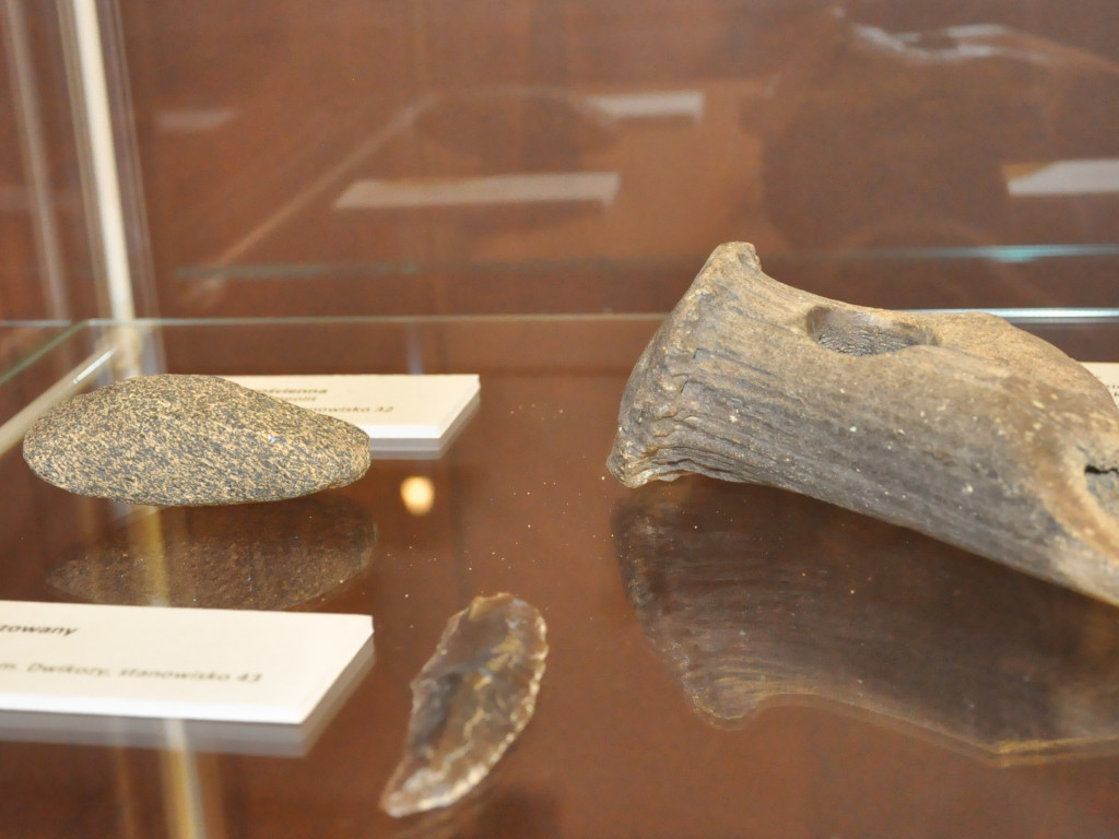Muzeum pokazało nowe eksponaty [zdjęcia]