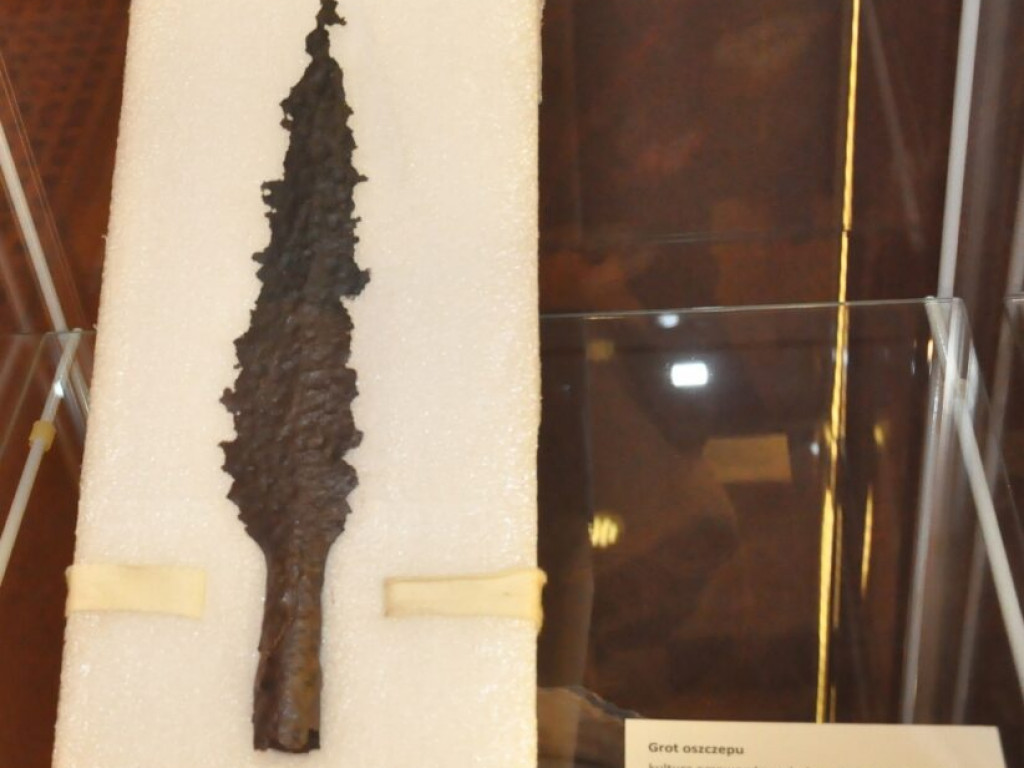 Muzeum pokazało nowe eksponaty [zdjęcia]