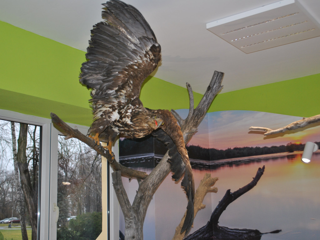 Natura 2000 w nowej siedzibie [zdjęcia]