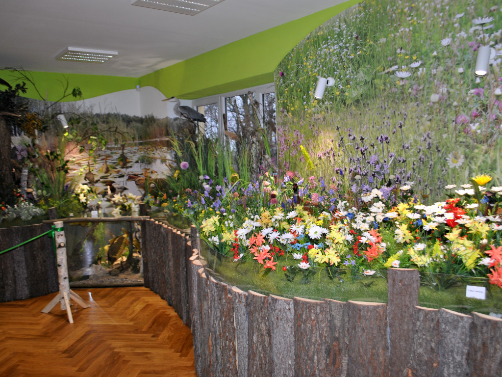 Natura 2000 w nowej siedzibie [zdjęcia]