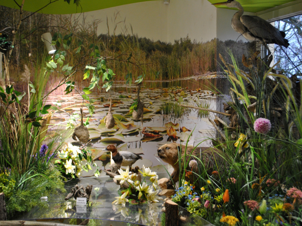 Natura 2000 w nowej siedzibie [zdjęcia]