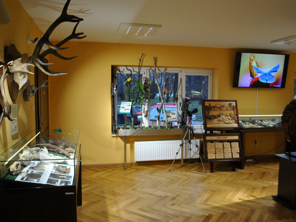 Natura 2000 w nowej siedzibie [zdjęcia]