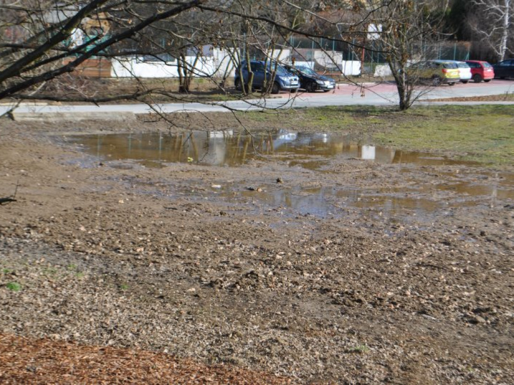 Rewitalizacja terenów nad Wisłą w Tarnobrzegu zakończona. Nowe miejsce wypoczynku i rekreacji [zdjęcia]