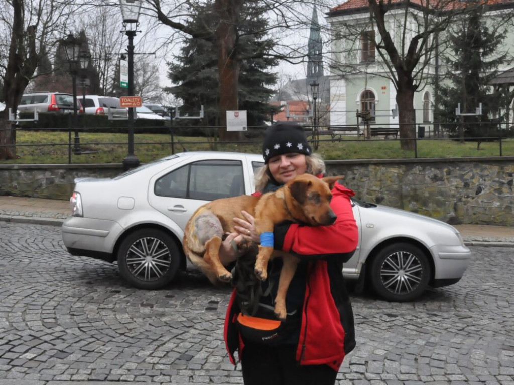 Wyjątkowe walentynki w Sandomierzu - dla Przytulnych [zdjęcia]