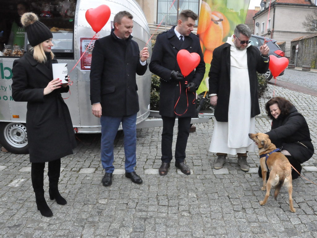 Wyjątkowe walentynki w Sandomierzu - dla Przytulnych [zdjęcia]