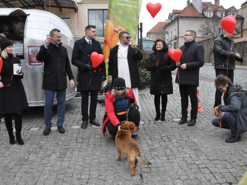 Wyjątkowe walentynki w Sandomierzu - dla Przytulnych [zdjęcia]