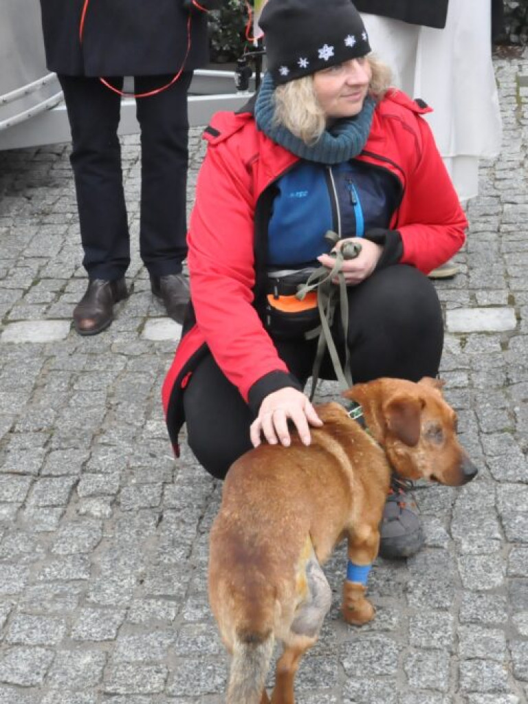 Wyjątkowe walentynki w Sandomierzu - dla Przytulnych [zdjęcia]