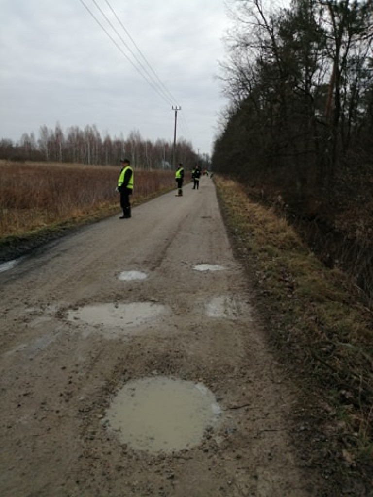 Nie znaleźli martwych dzików