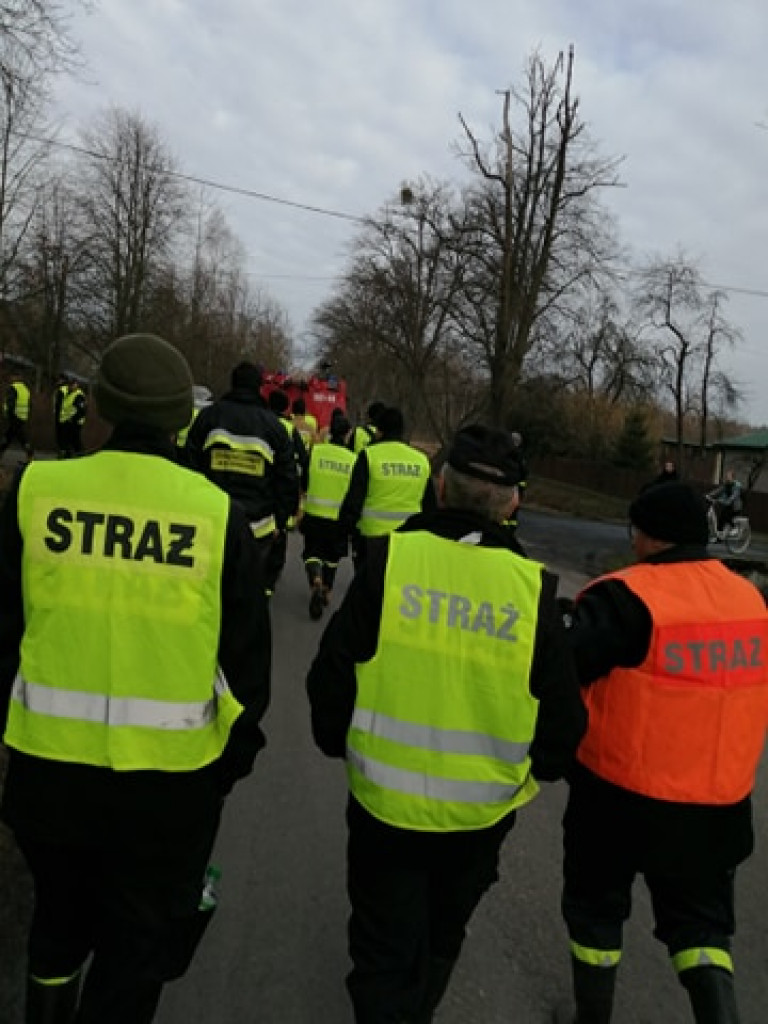 Nie znaleźli martwych dzików