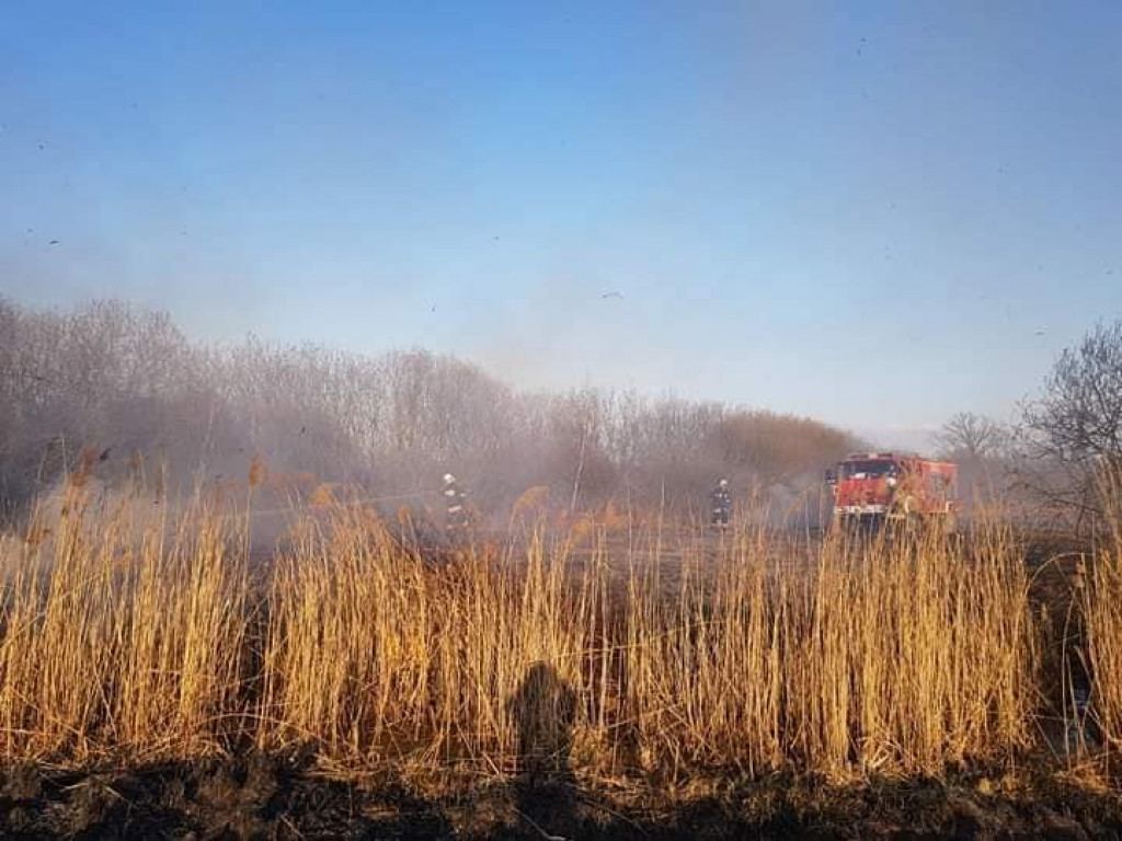 Wypalanie suchych traw. Duża liczba pożarów [zdjęcia]