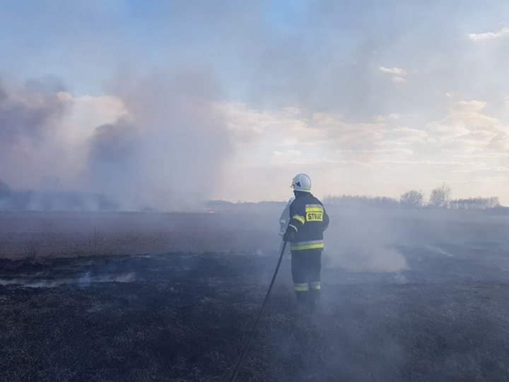 Wypalanie suchych traw. Duża liczba pożarów [zdjęcia]