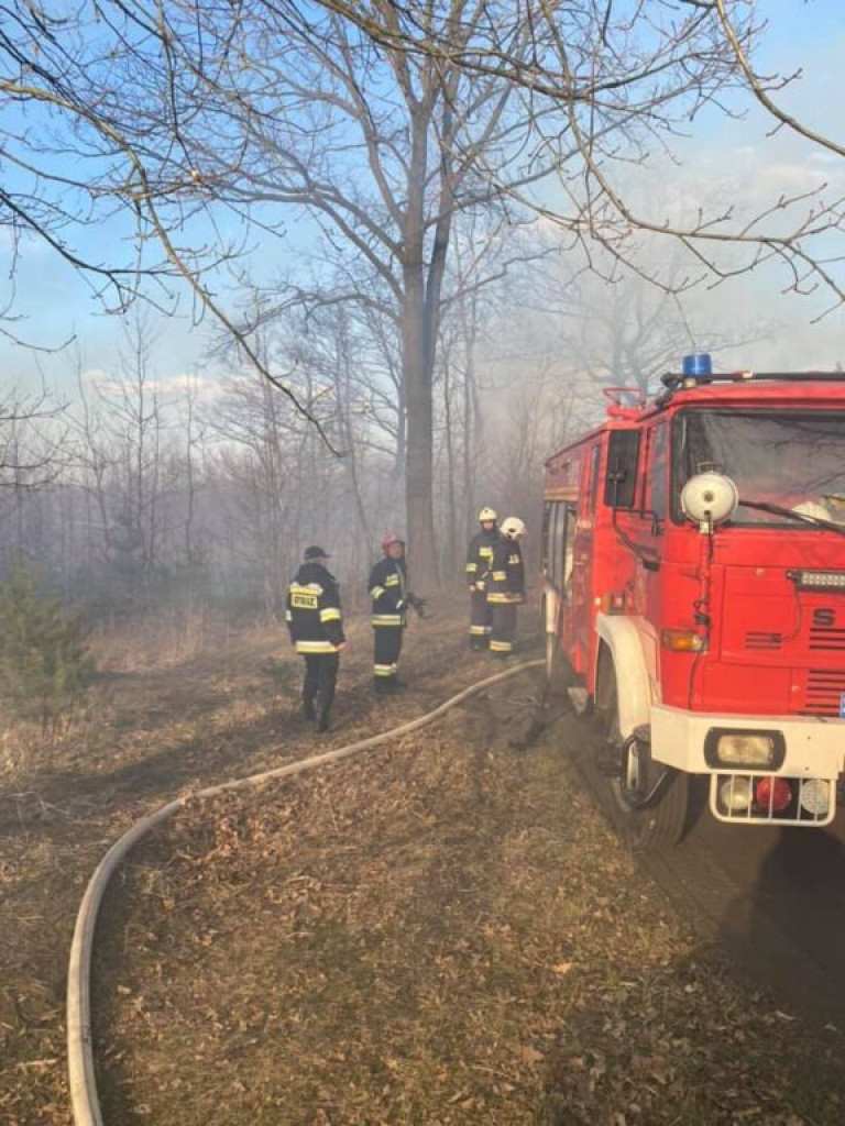 Wypalanie suchych traw. Duża liczba pożarów [zdjęcia]