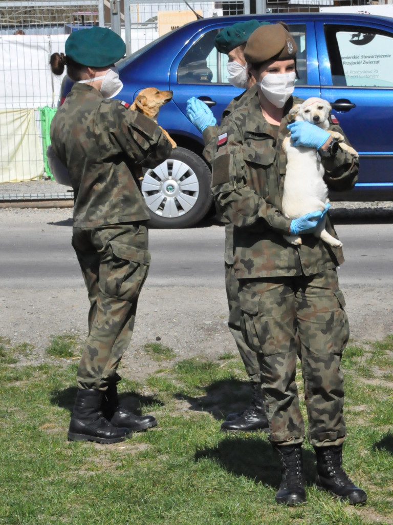 Terytorialsi pomogli sandomierskiemu schronisku [zdjęcia]