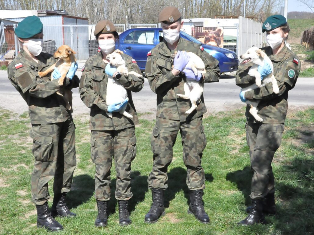 Terytorialsi pomogli sandomierskiemu schronisku [zdjęcia]