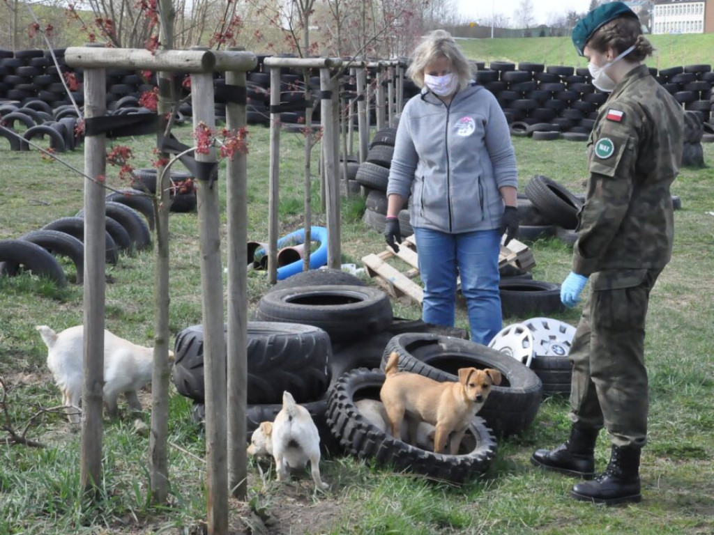 Terytorialsi pomogli sandomierskiemu schronisku [zdjęcia]