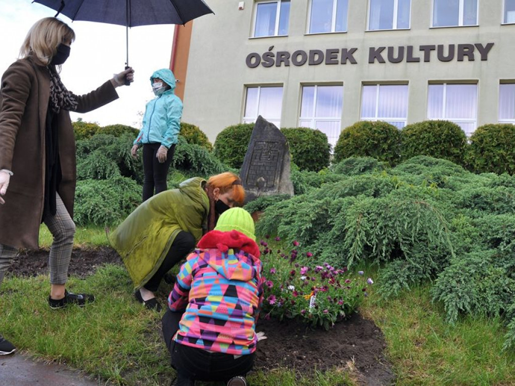 Posadzili kwiatki dla mam. W akcji wzięło udział kilkudziesięciu  mieszkańców Zawichostu [zdjęcia]