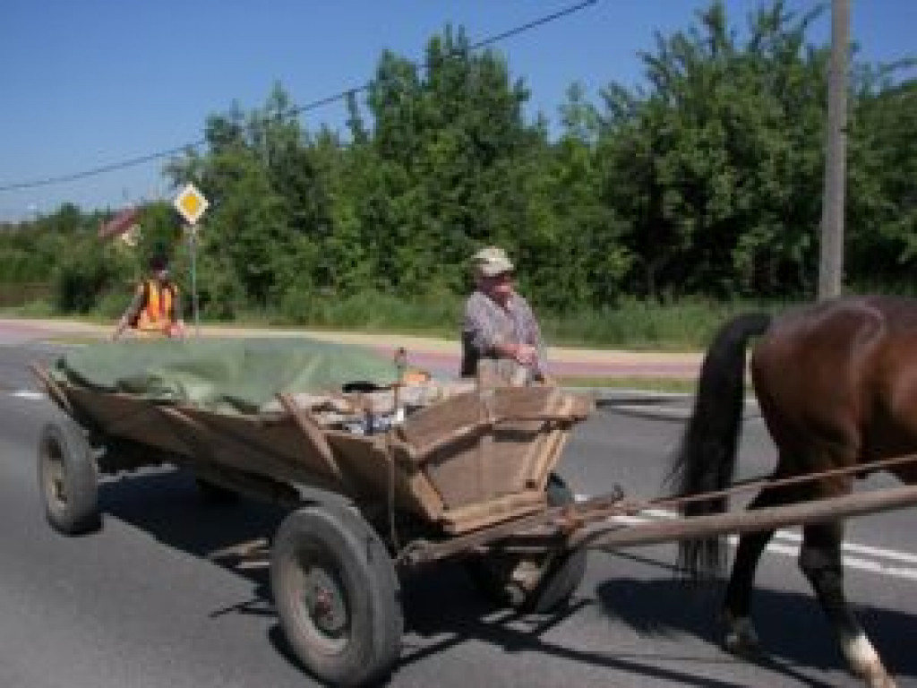 Tej tradycji nie przerwały wojny, powstania ani komunizm