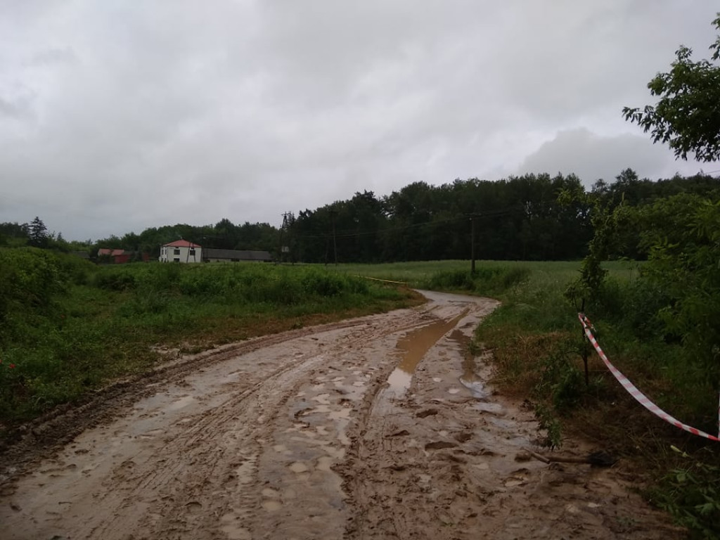 Krajobraz po burzy w gminie Zawichost [zdjęcia][wideo]