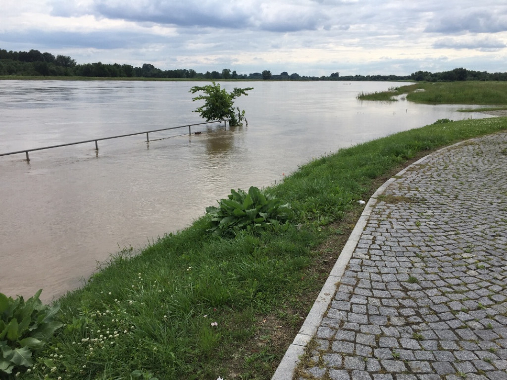 Wisła przybiera. W Sandomierzu osiągnęła już  stan ostrzegawczy