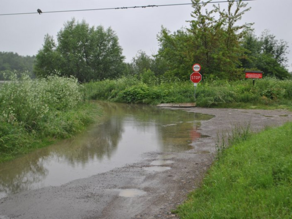 Alarm na całym Podkarpaciu. W Tarnobrzegu podnosi się poziom wody na Wiśle [zdjęcia]