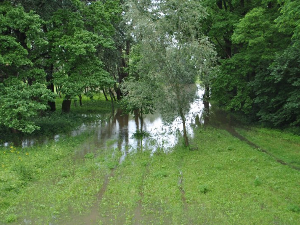 Poziom Wisły w Tarnobrzegu w godzinach porannych [zdjęcia][wideo]