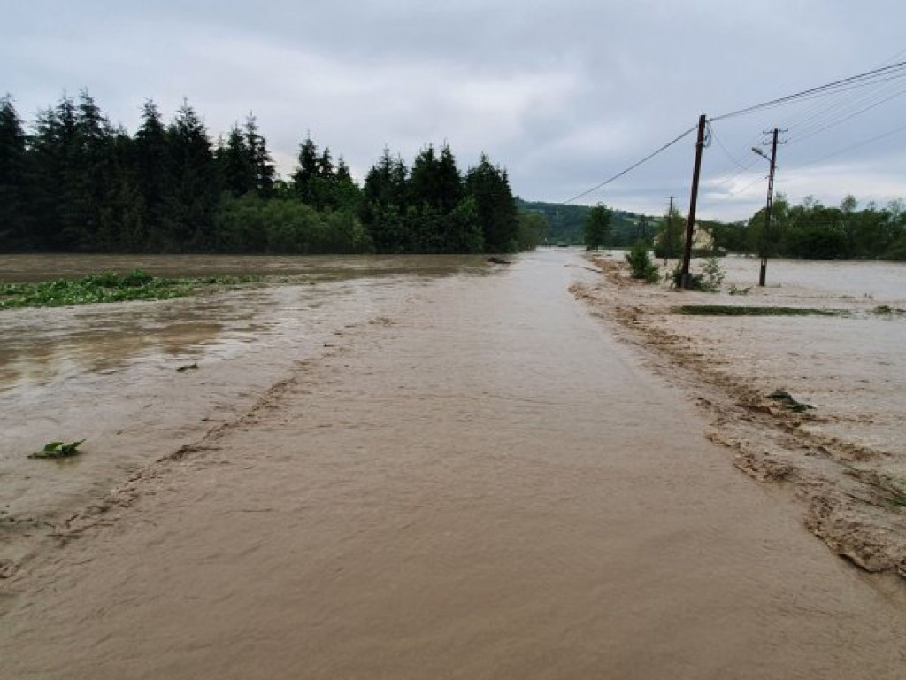 Powódź na Podkarpaciu. Zalane domy, pola i drogi [zdjęcia][wideo]