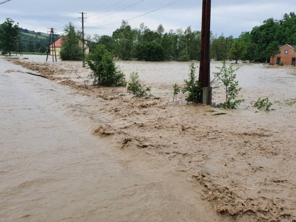 Powódź na Podkarpaciu. Zalane domy, pola i drogi [zdjęcia][wideo]