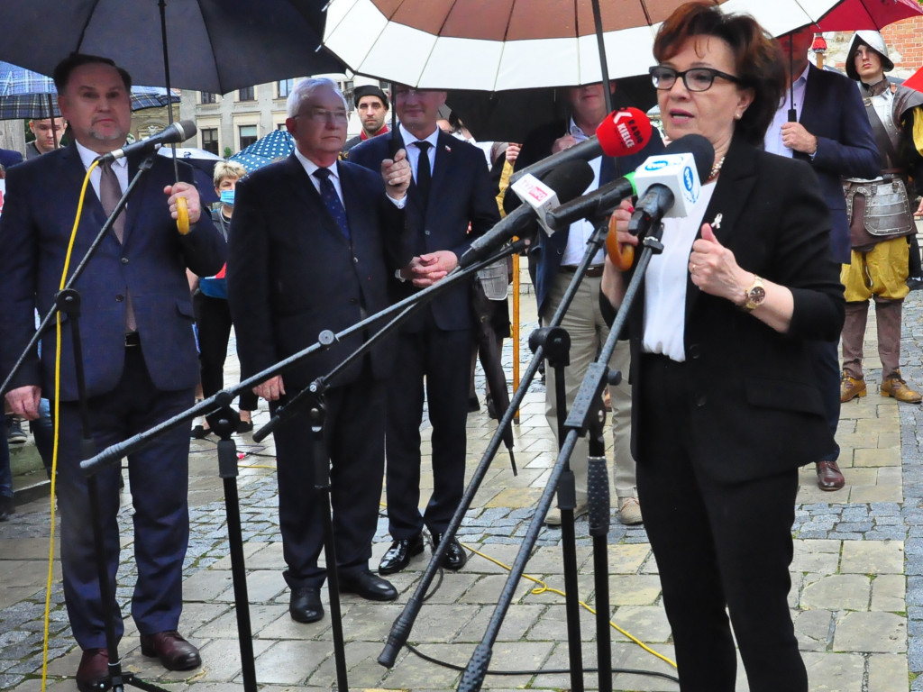 Marszałek Elżbieta Witek w Sandomierzu [zdjęcia]