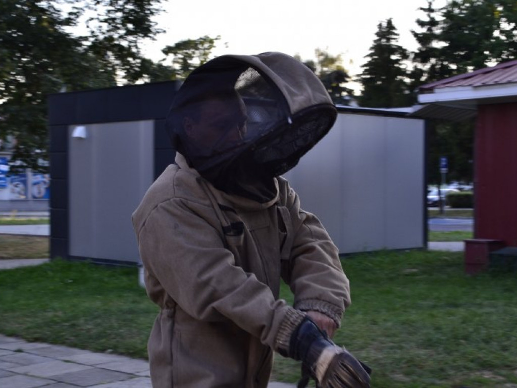 W Tarnobrzegu strażacy usunęli gniazdo os ze ściany bloku [zdjęcia]