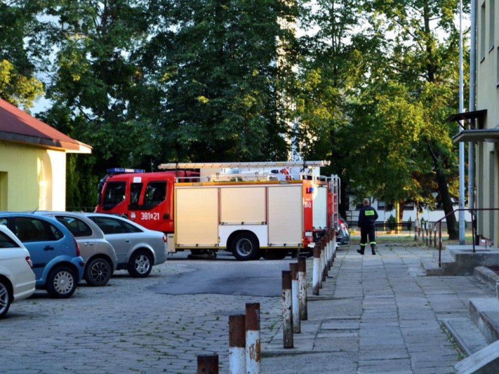 W Tarnobrzegu strażacy usunęli gniazdo os ze ściany bloku [zdjęcia]