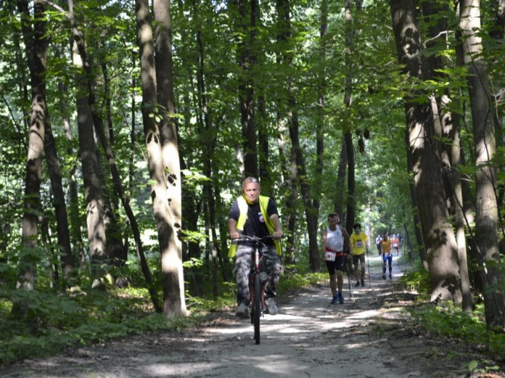 Mistrzostwa Tarnobrzega Nordic Walking (zdjęcia)
