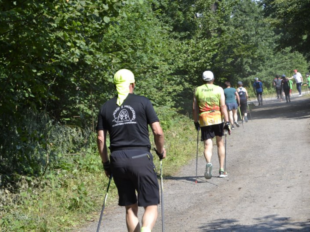 Mistrzostwa Tarnobrzega Nordic Walking (zdjęcia)