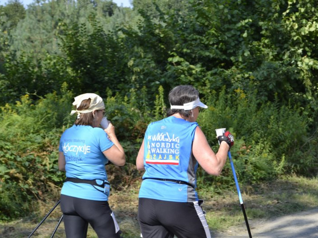 Mistrzostwa Tarnobrzega Nordic Walking (zdjęcia)