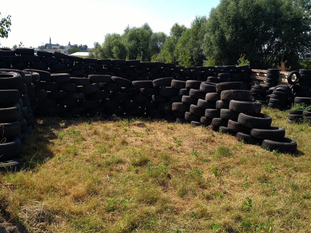 Pobiegli i pomogli schronisku. Akcja Sekcji Bokserskiej 