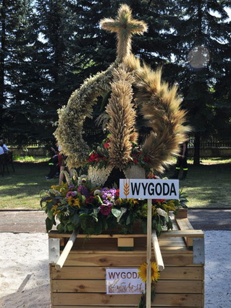 Mieszkańcy gminy Zawichost dziękowali za plony [zdjęcia]
