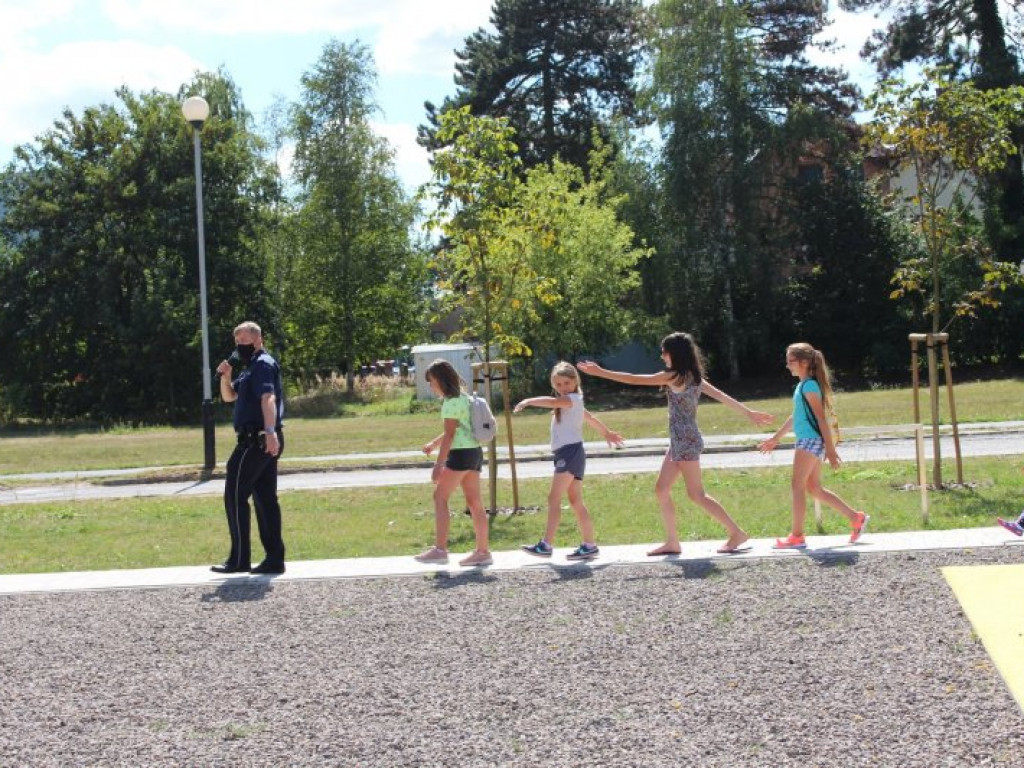 Moc atrakcji na militarnym pikniku w Gorzycach [zdjęcia]
