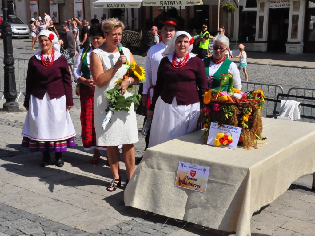 Rolnicy z powiatu sandomierskiego świętowali dożynki [zdjęcia]