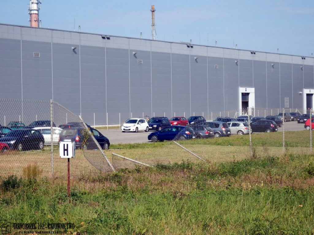 Samochód staranował ogrodzenie przy Pilkingtonie i uszkodził 6 innych pojazdów! [zdjęcia]