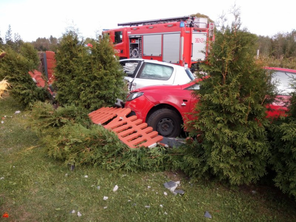 Dwa samochody na jednym ogrodzeniu w Alfredówce [zdjęcia]