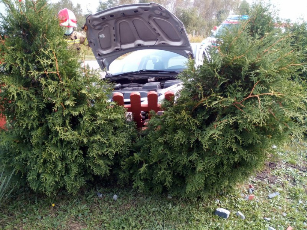 Dwa samochody na jednym ogrodzeniu w Alfredówce [zdjęcia]