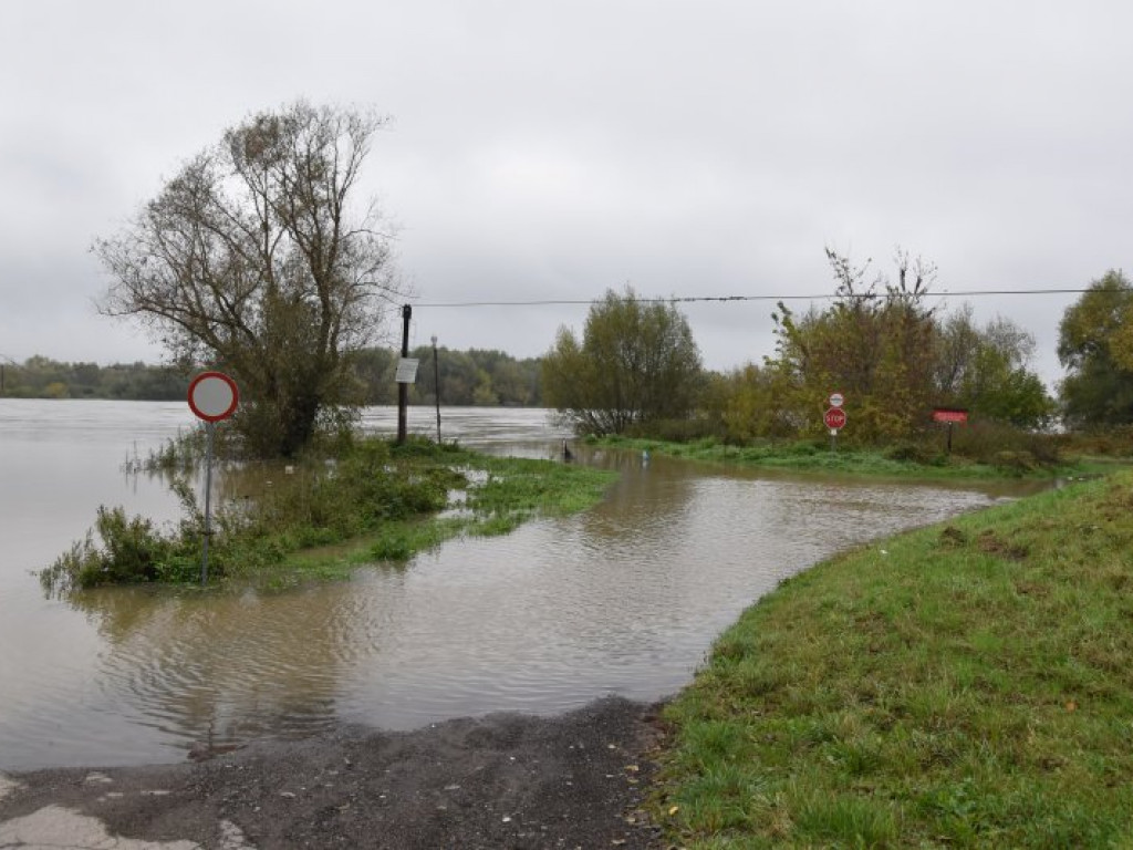Tarnobrzeg/Sandomierz. Rośnie poziom wody na Wiśle [zdjęcia][wideo]