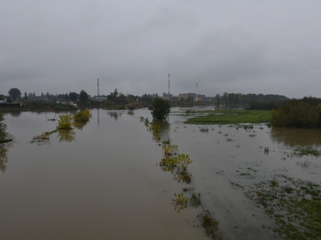 Wisła w Sandomierzu opada  [zdjecia, wideo]