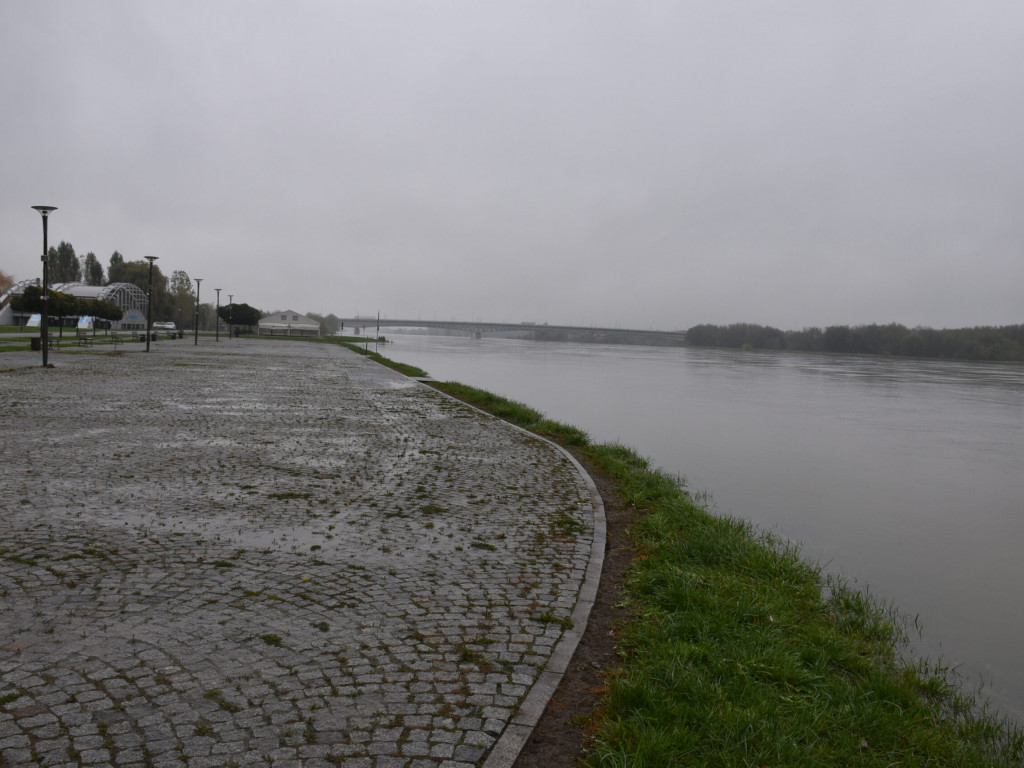 Wisła w Sandomierzu opada  [zdjecia, wideo]