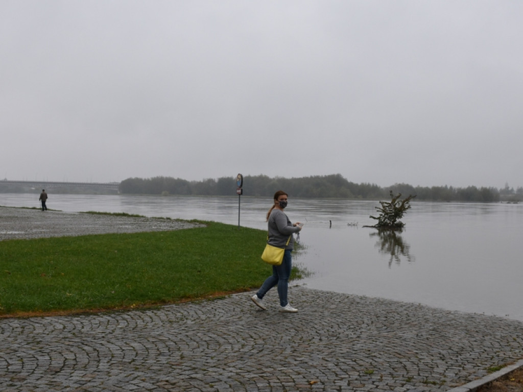 Wisła w Sandomierzu opada  [zdjecia, wideo]