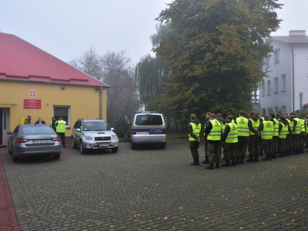 Szukają dzików. Te żywe przepędzają z Sandomierza [zdjęcia]
