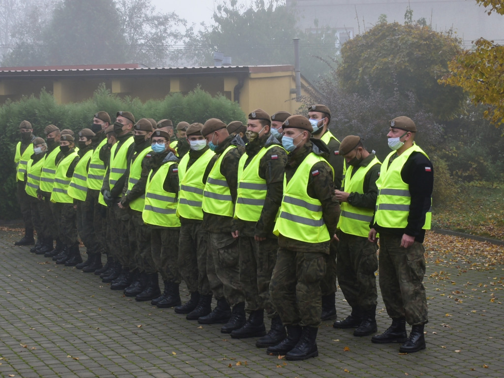 Szukają dzików. Te żywe przepędzają z Sandomierza [zdjęcia]
